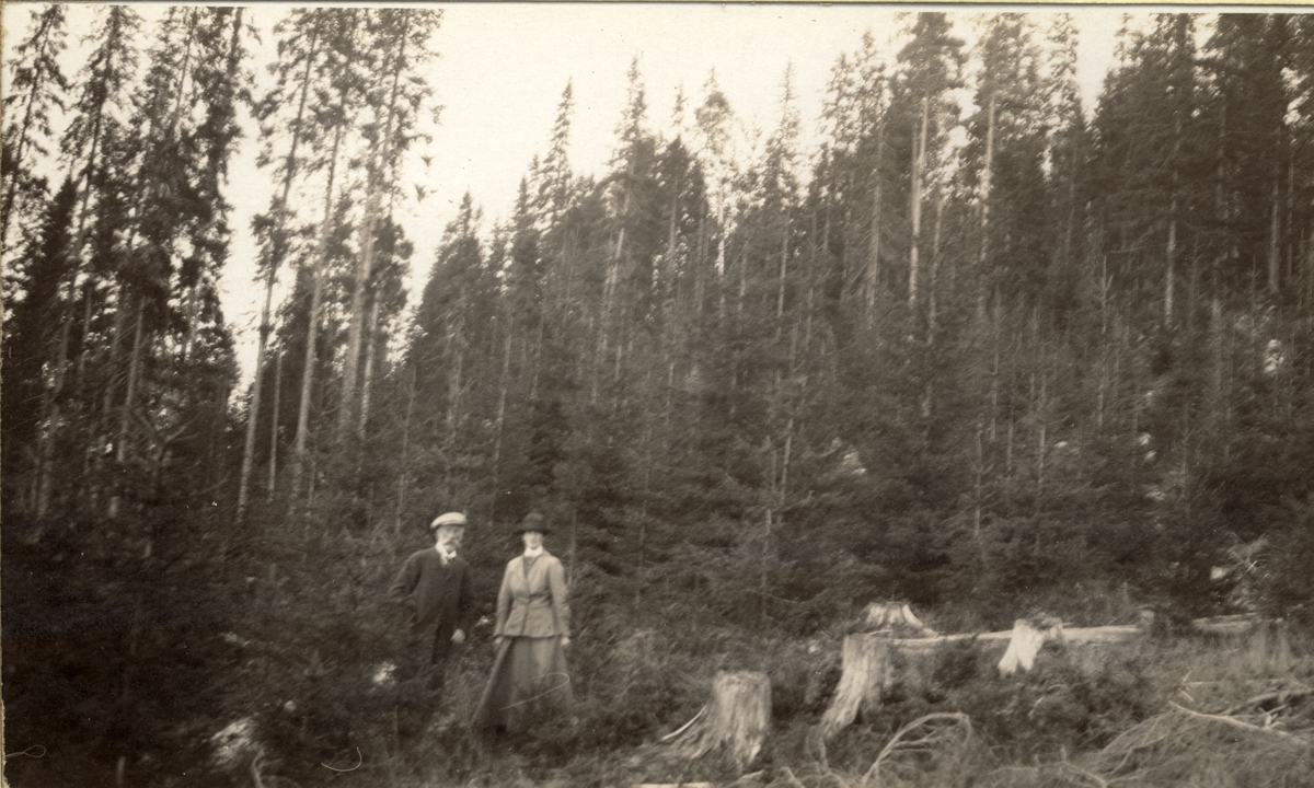 Ferdinand Egeberg og svigerdatter Nini Egeberg i en lysning i skogen på ukjent sted. Fotografert 1917.