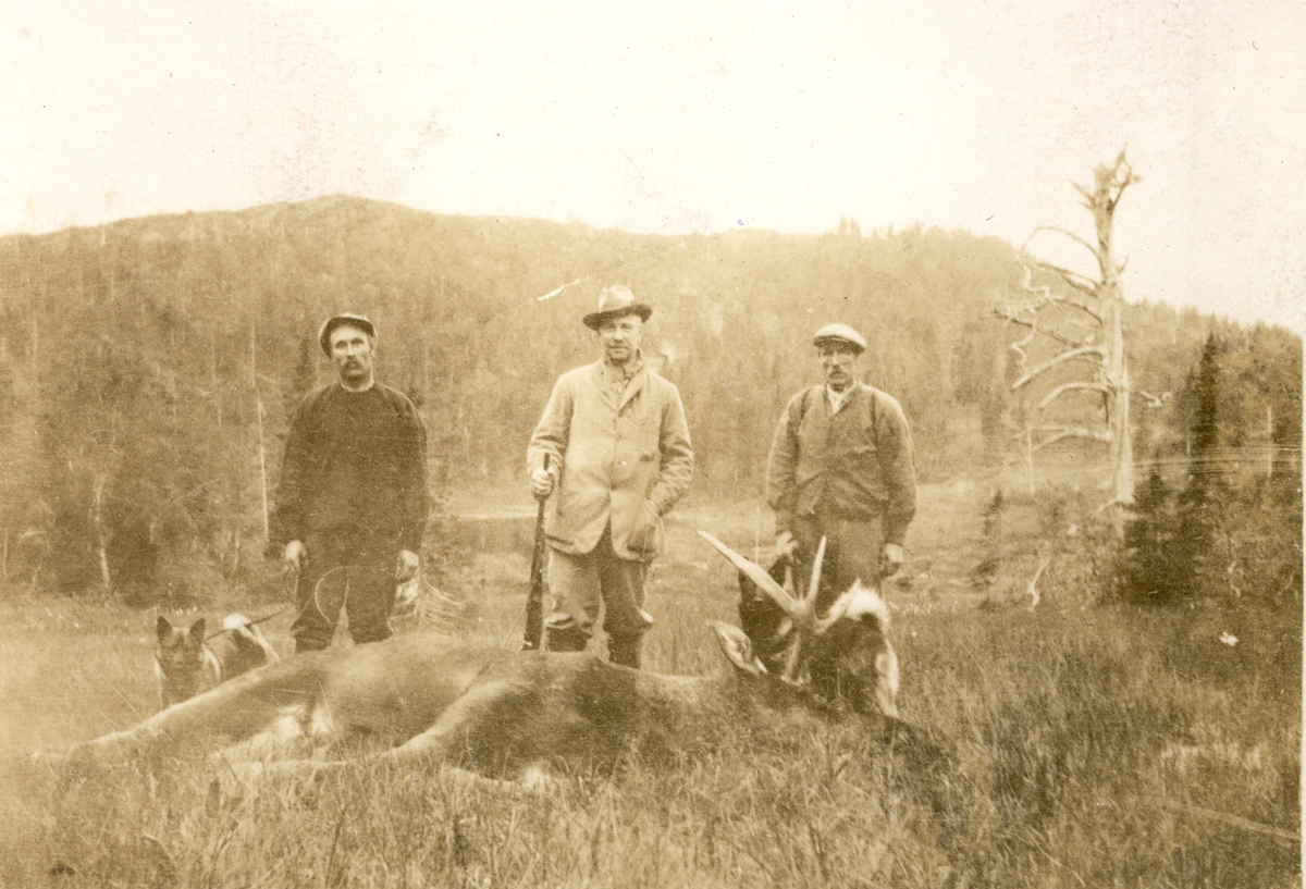 Tre elgjegere poserer med jaktbytte i Namdalen. Fra venstre Johan Lindsetmoen, Westye P. Egeberg og Anton Falmår. Fotografert september 1923.