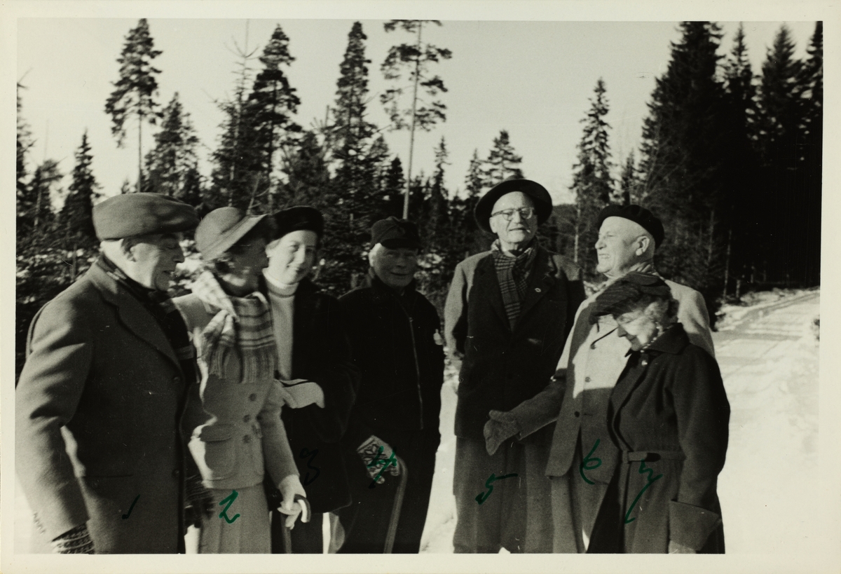 .Chr. Blom, Hatti(?), Rosa Collett, Fritz Treschow, Nils O.Y. Fearnley, Johan Collett og Anna Treschow på Aas gaard i Hakadal. Fotografert 1952.