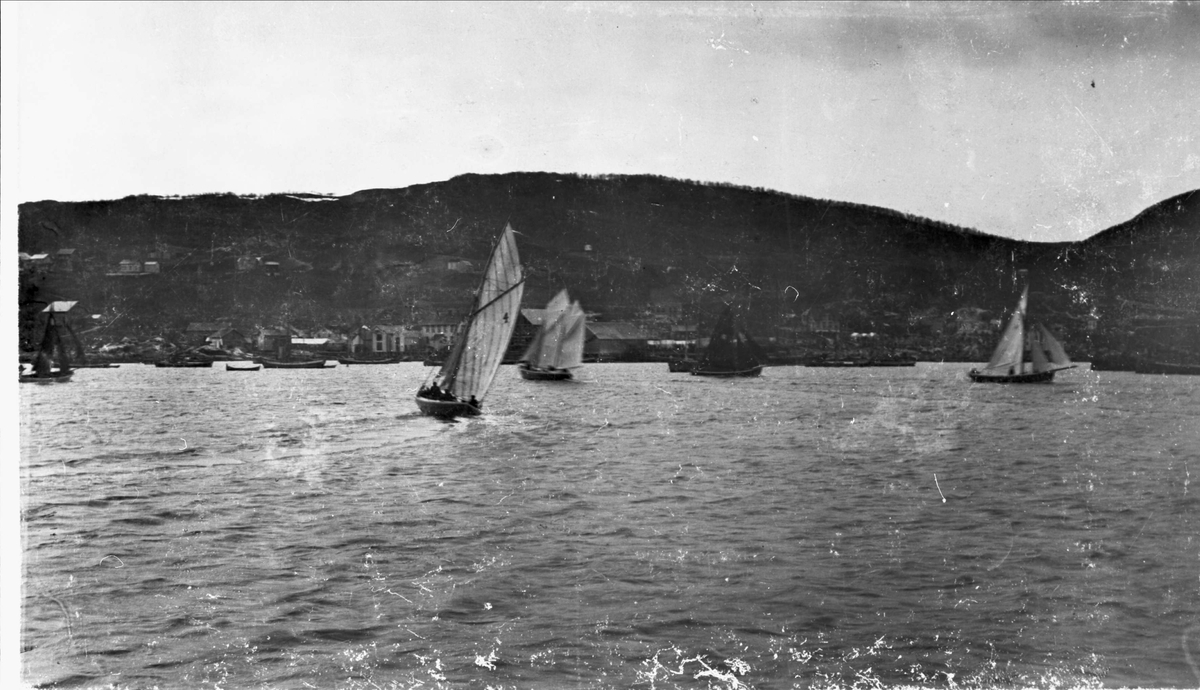 Båter på Harstad havn under regattaen i 1891.