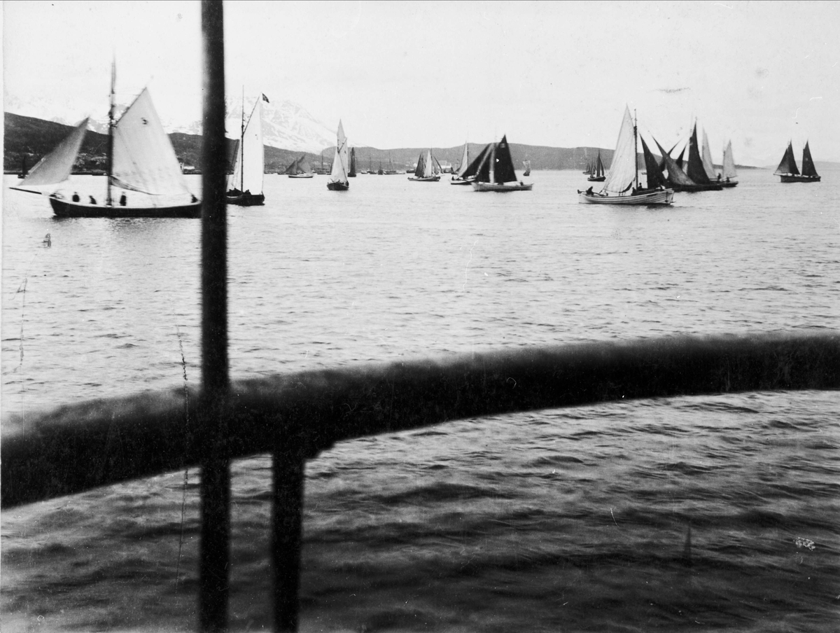 Båter på Vågsfjorden under regattaen i 1891.