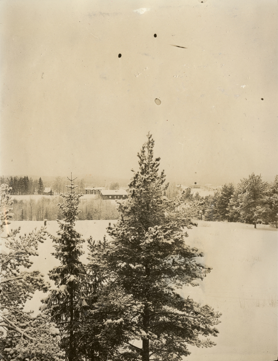 Vinterbild med bondgård.
