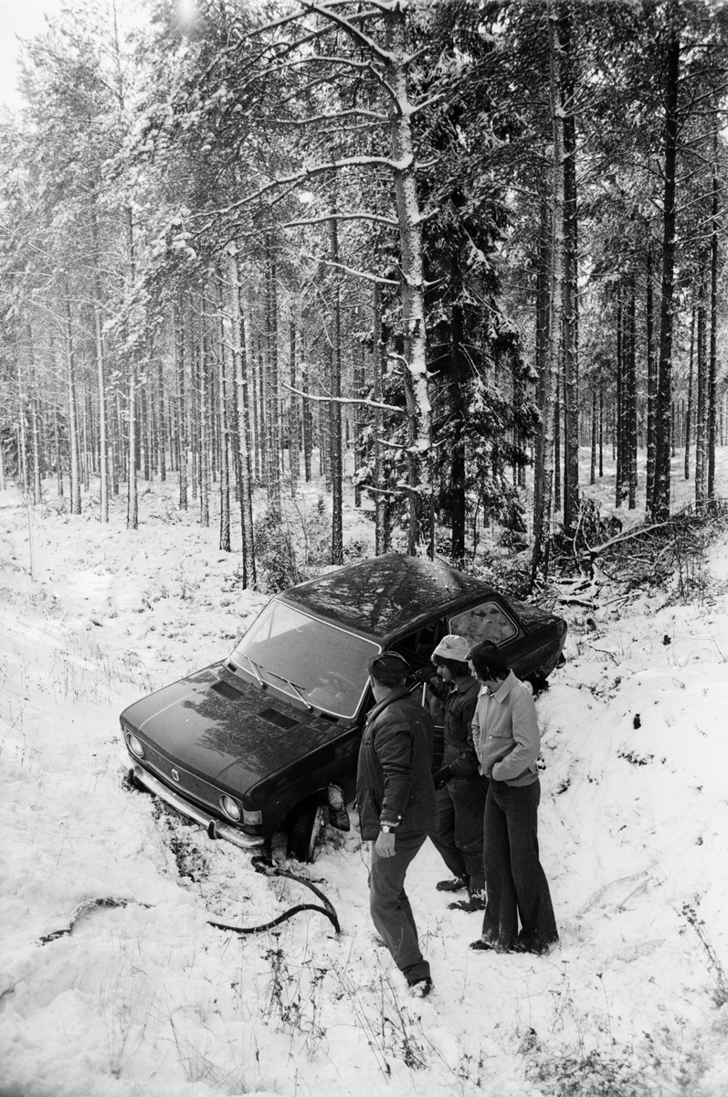 "Tidig vinter i Norduppland", 12 oktober 1973