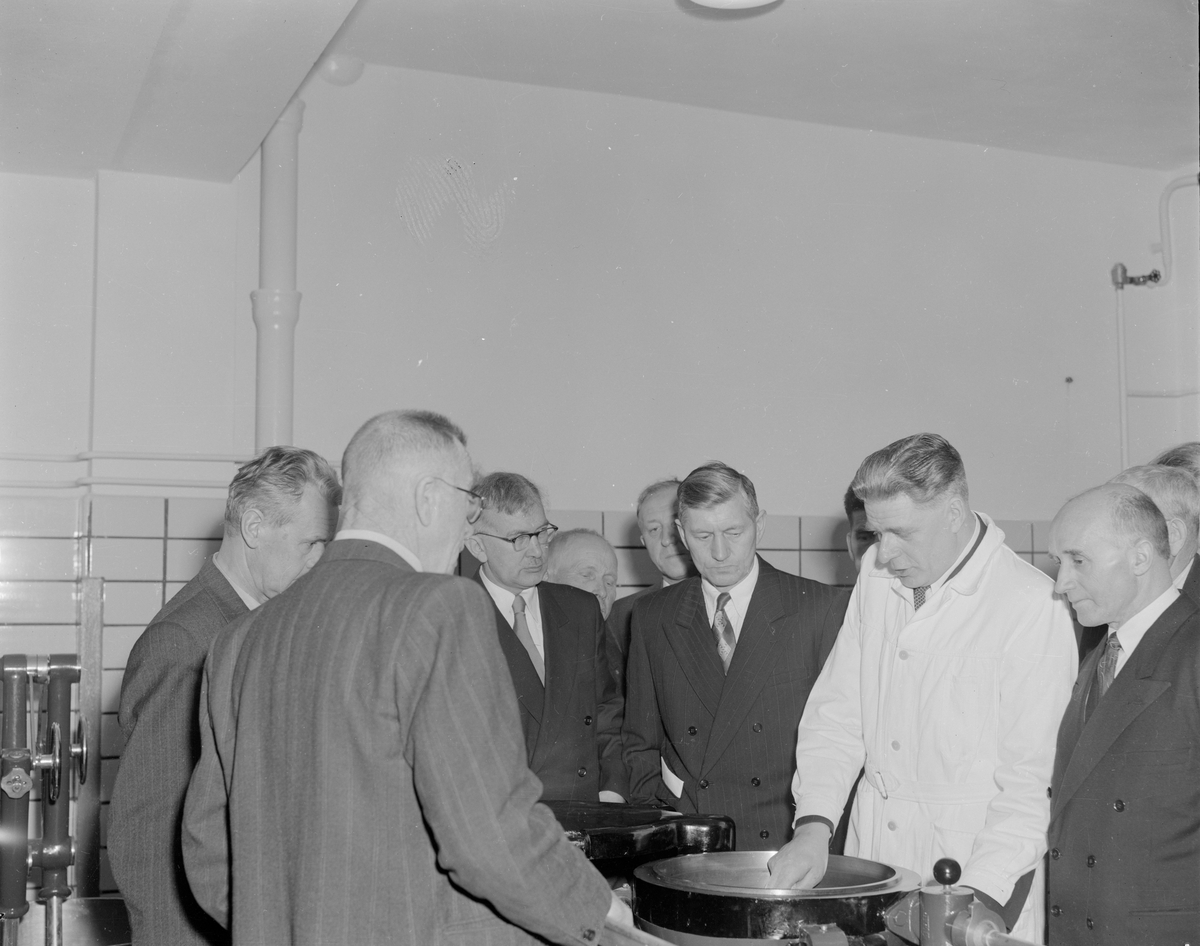 En gruppe menn på omvisning i slakteriet på Eie før åpning.