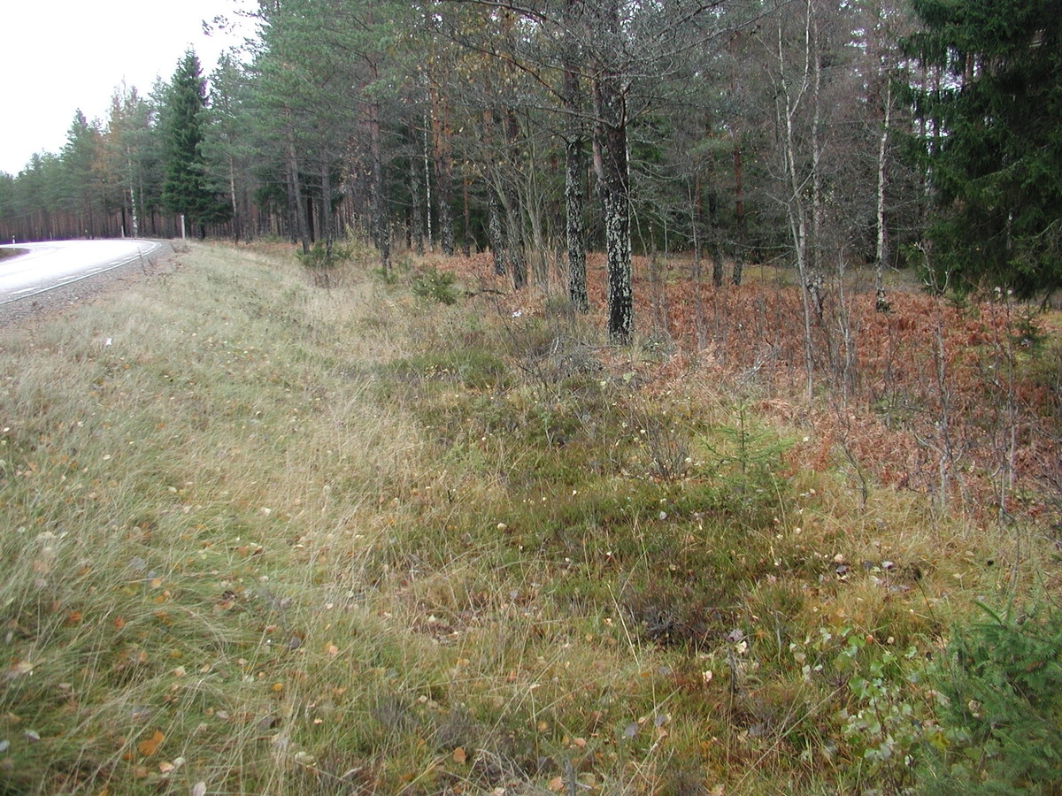 Foto i samband med arkeologisk utredning av väg 67, Valbo sn.
Äldre landsväg (3) fr S.
