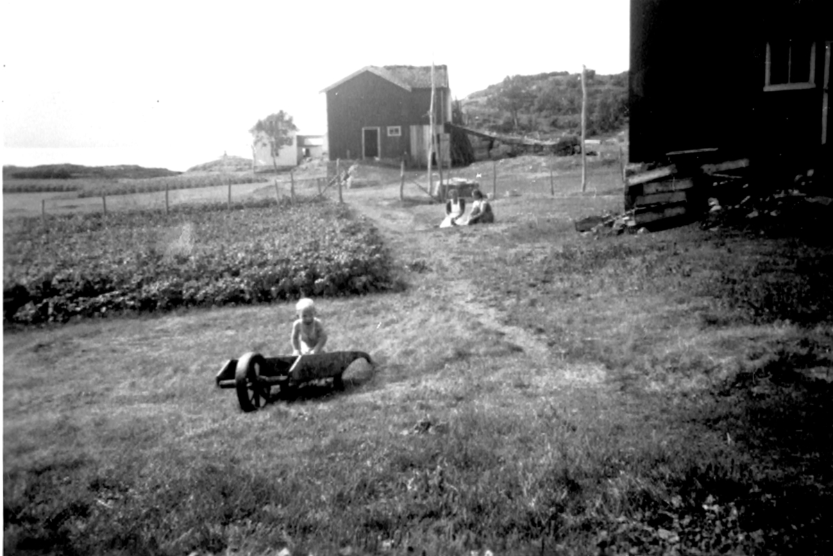 Gårdsbruk i Tømmervika i gamle Bjarkøy kommune. Bildet tatt ca.1950-1955.
