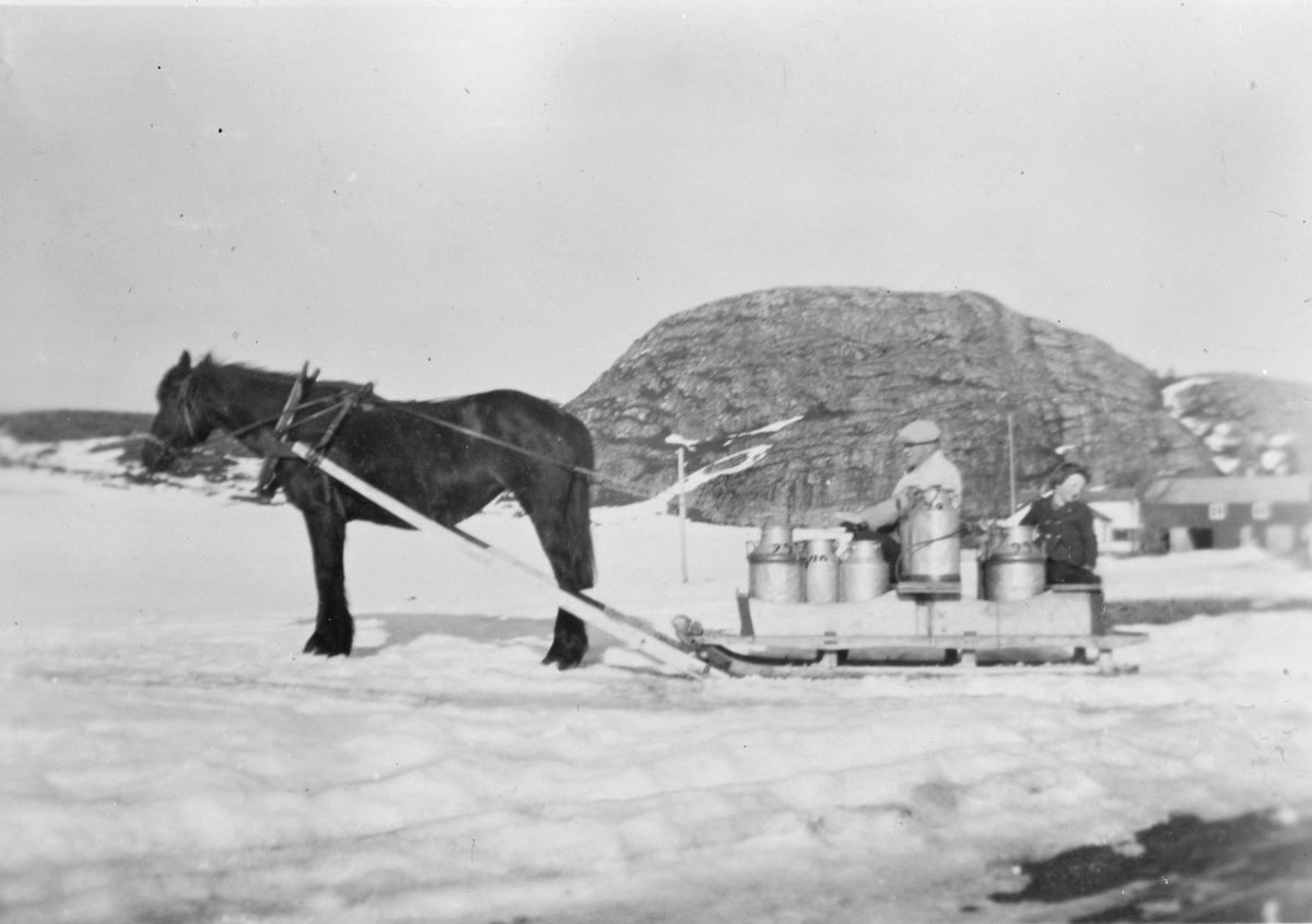 Melkekjøring til melkerampa på Lesetbakken, Jøssund