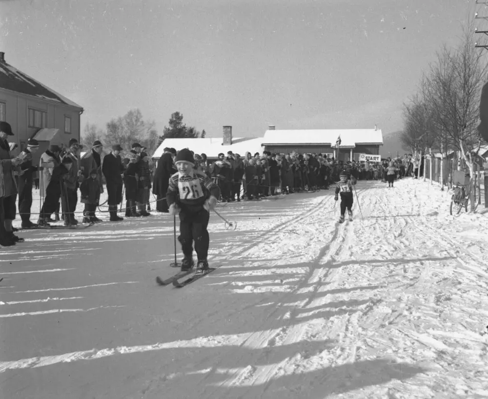 unge skiløpere steien skole alvdal