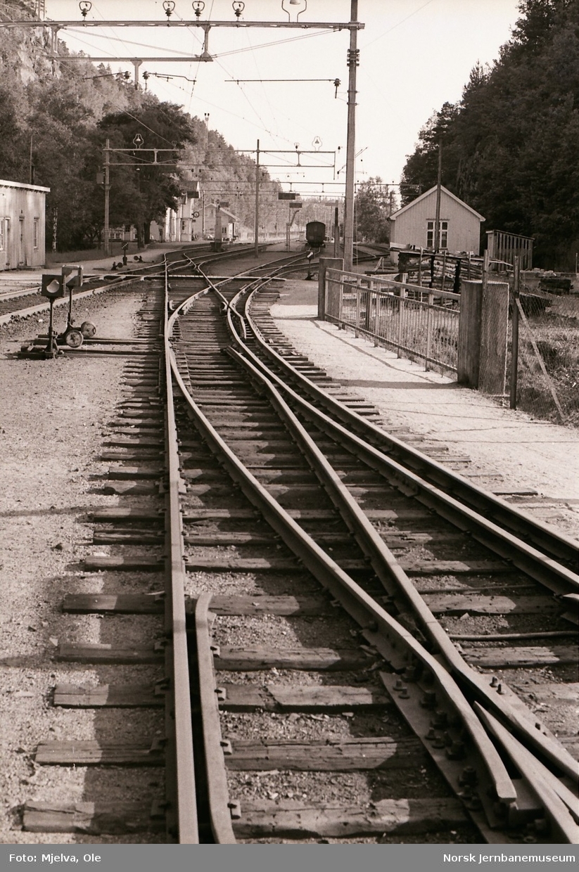 Sporveksel med to sporvidder, 1067 mm og 1435 mm, på Grovane stasjon