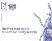 David G. Notton: Identifying Pests in Museums and Heritage Buildings (2018)