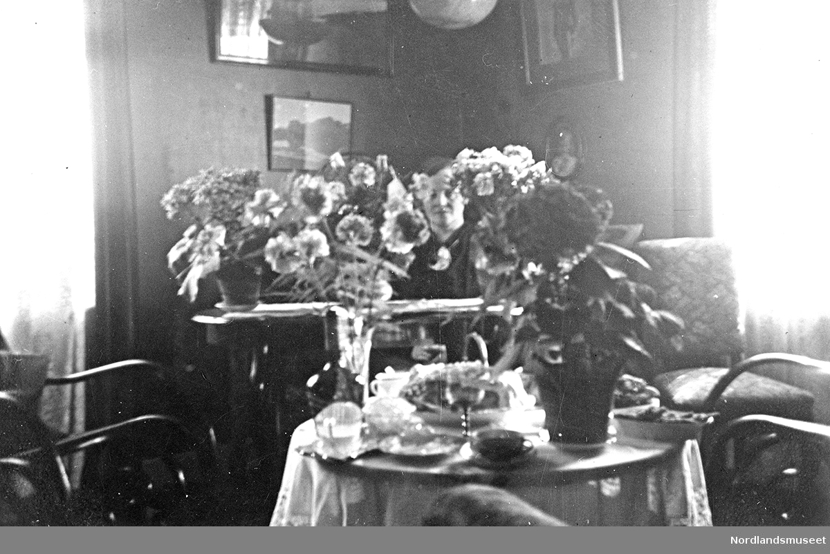Portrett. Helga Vatten omgitt av masse blomster. Bilder på veggen bak. Helga Vatten var gift med Ole Vatten og besteforeldre til giver av bildet.