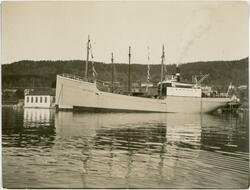 Dampskipet "Isfjord" med byggenummer 136 ved Bolsønes verft.