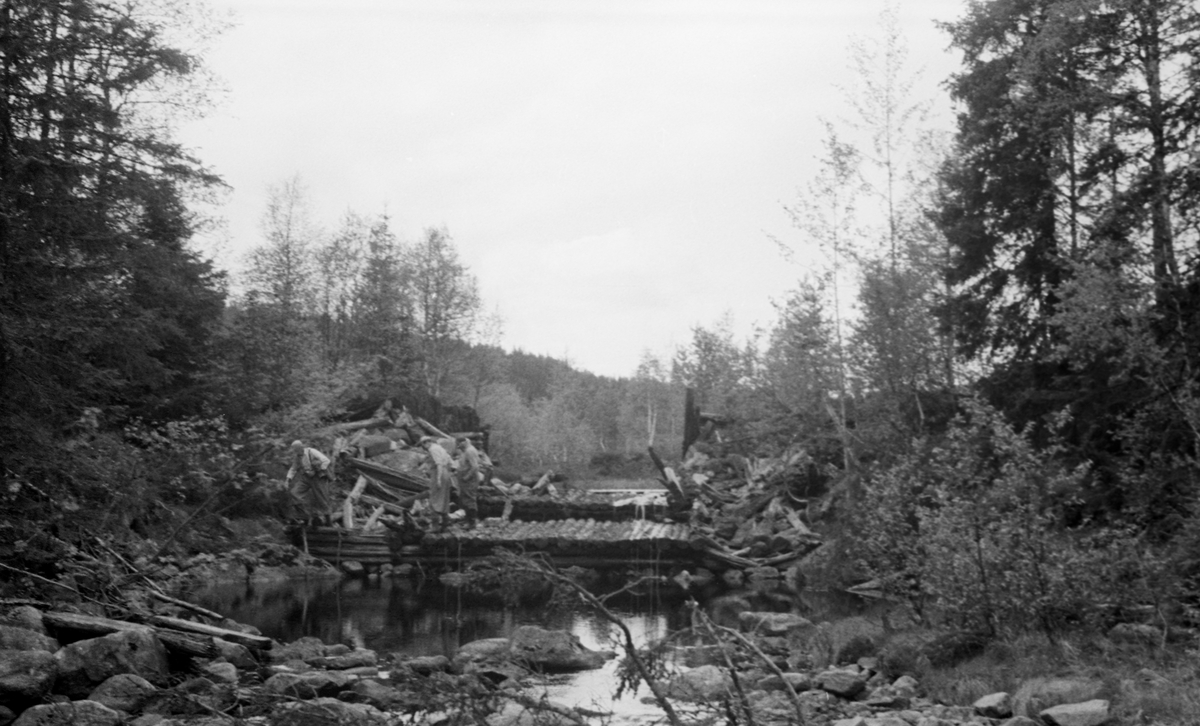 Befaring ved dammen ved Øvre Gåsvatnet, på grensa mellom Nord-Odal og Våler, Hedmark. Øvre Gåsvassdam. Gulv av tømmer. Flere personer. Tømmeret i Gåsvassåa ble fløtet gjennom Jursjøen og videre i Juråa til Storsjøen.