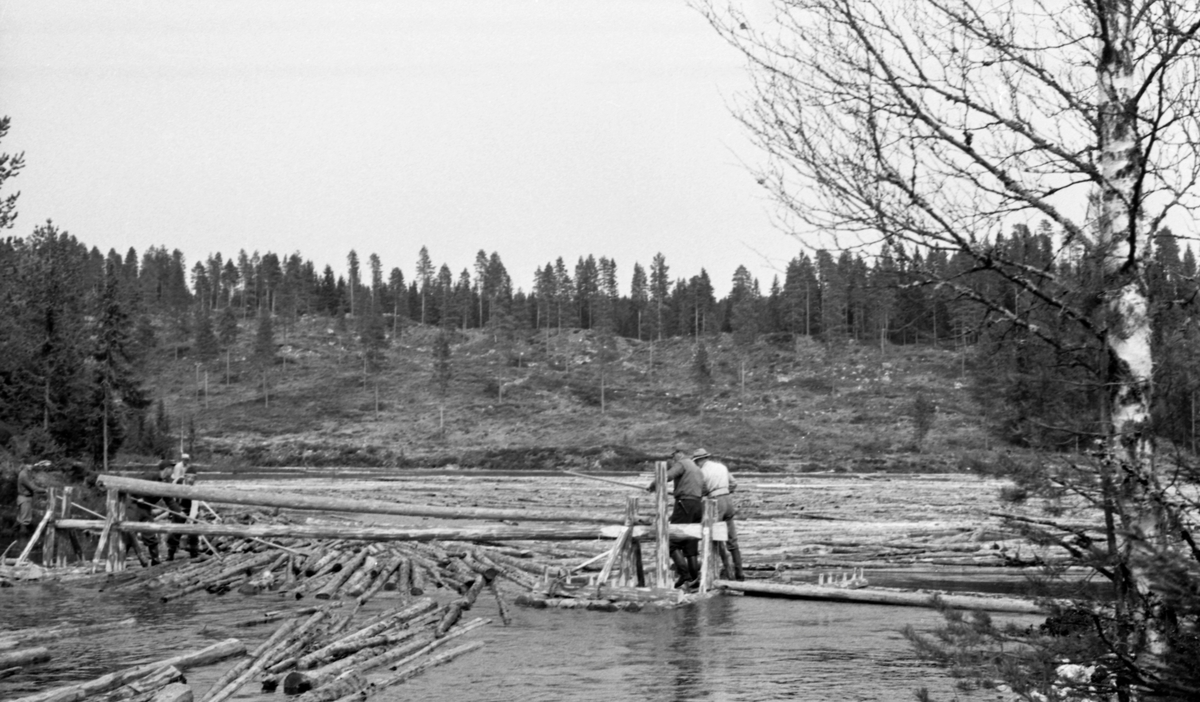 Slippflåte, tømmer i vannet. Fløtere i arbeid. Bildet er trolig tatt ved Juråa, Nord-Odal, Hedmark.