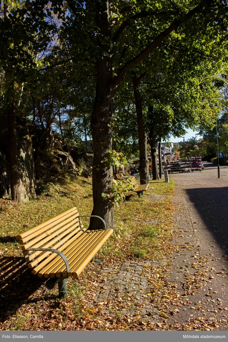 Sittbänk och träd längs med Almåsgången i Lindome centrum, den 4 oktober 2016. Vy mot öster.