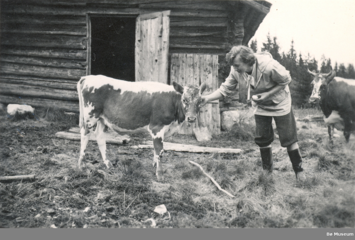 Gunhild Ågetveit, Knarlia 1951