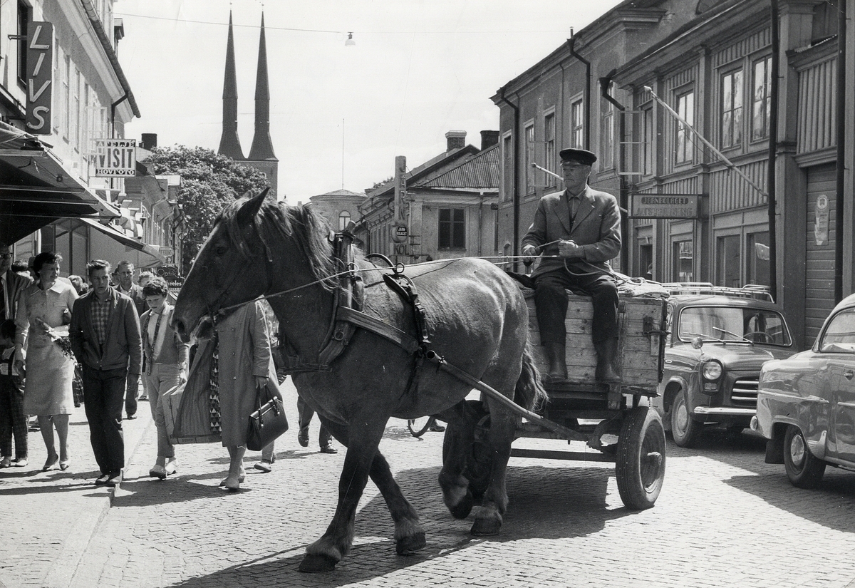 Hästekipage på Sandsgärdsgatan, 18 juli 1960. 
Gustav Berg (1890-     ) kör in på gården till en av fastigheterna. Till vänster syns några hus i kvarteret Blenda, till höger 
husen i kvarteret Håkan Sjögren, följda längre bak av husen i kv. Magnus Smek.
