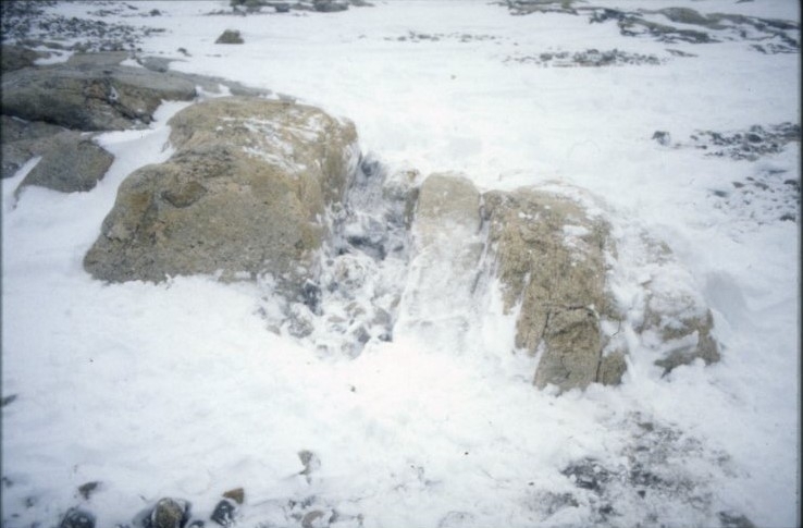 Nils Strindbergs grav på Vitön. En snötäckt och stenig terräng. Det blåser hårt.