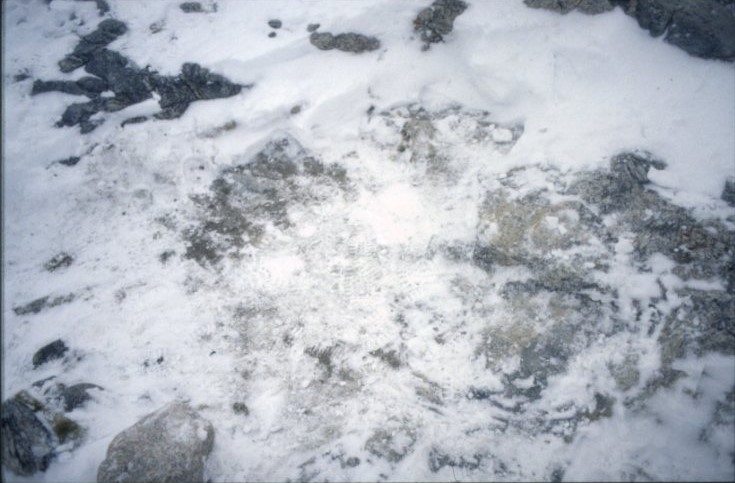 Textilfragment i snön i Andréelägret på Vitön.