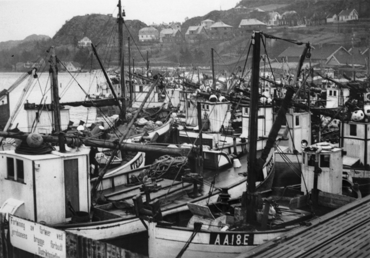 Fiskeskøyter ved Jernbanekaien. Fra sildefisket, februar 1939.