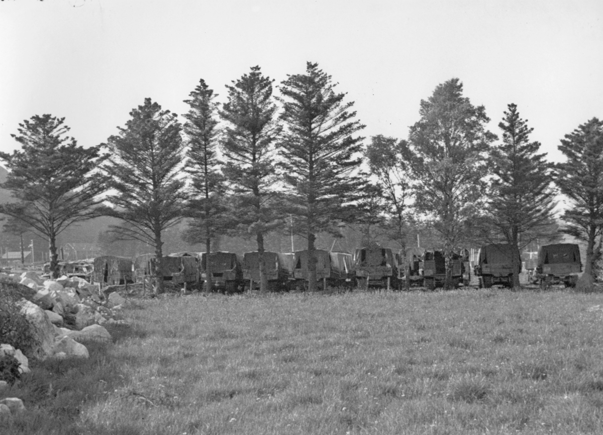 Tyske kjøretøyer på Slettebøleiren, 30. mai 1945.