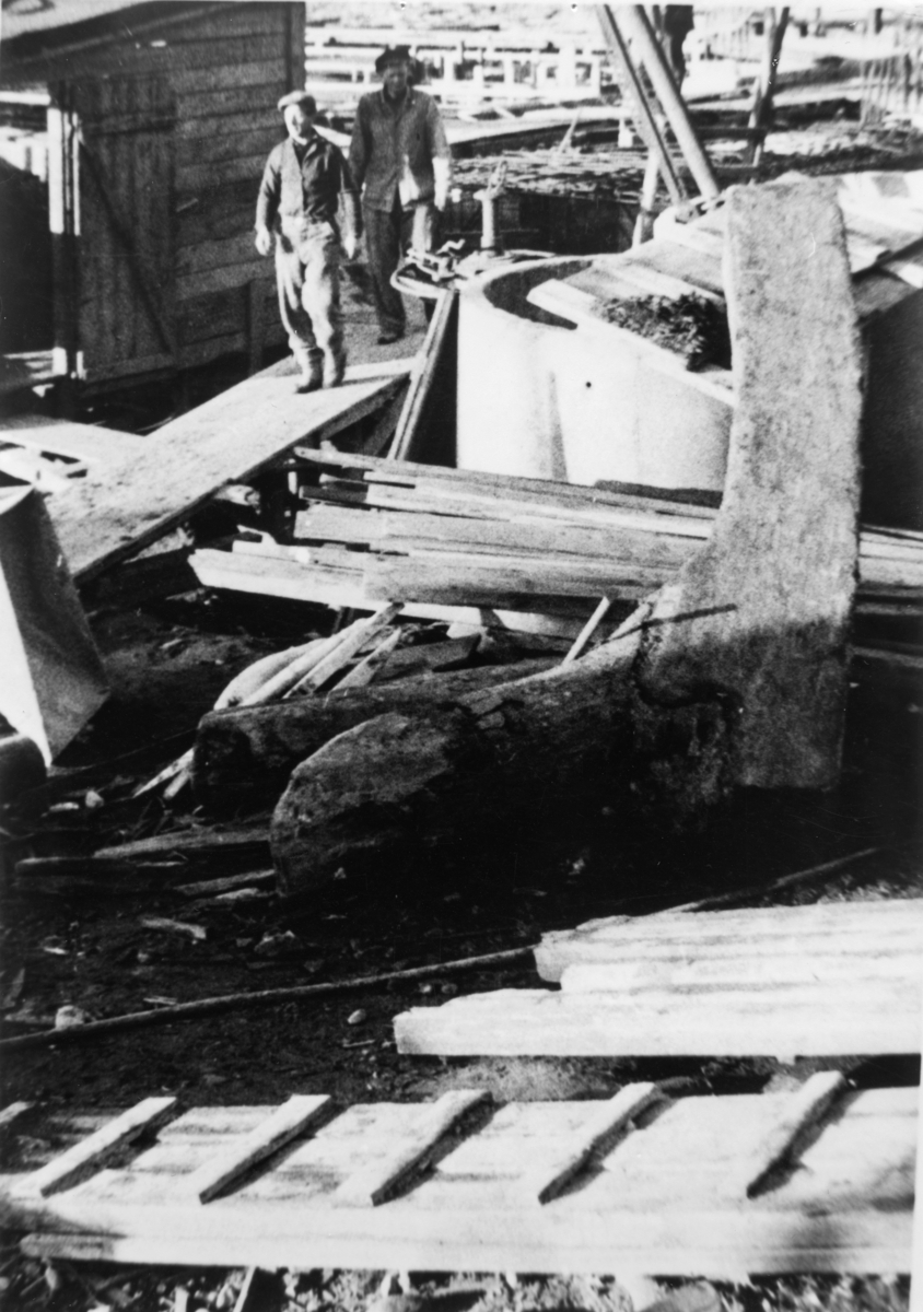 Stavnstokk funnet på bunnen v/ Bradbenken under grunnarbeidet til Kjølelageret, våren 1952.