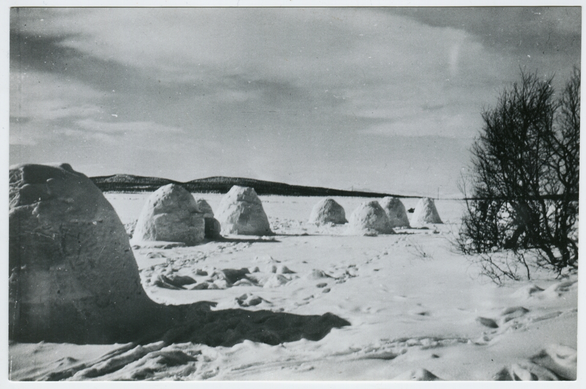 Igloos på Lousajärvi, Kiruna 1940-tal.