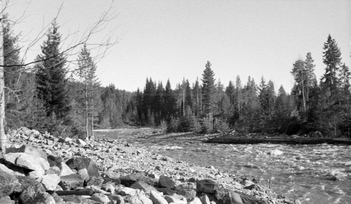 Fullt damvann nedover mot Sukkerhullet i elva Tannåa i Nord-Odal, Hedmark. Tømmerskådam i bakgrunnen. Det ble nødvendig med justering av bulldozerarbeidet.