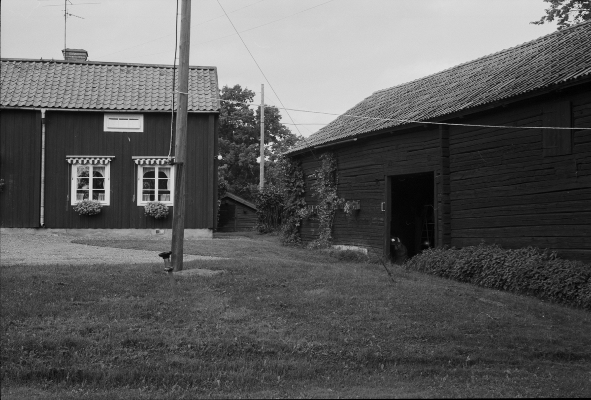 Bostadshus och portliderlänga, Långtibble 10:1 (B), Vänge socken, Uppland 1984