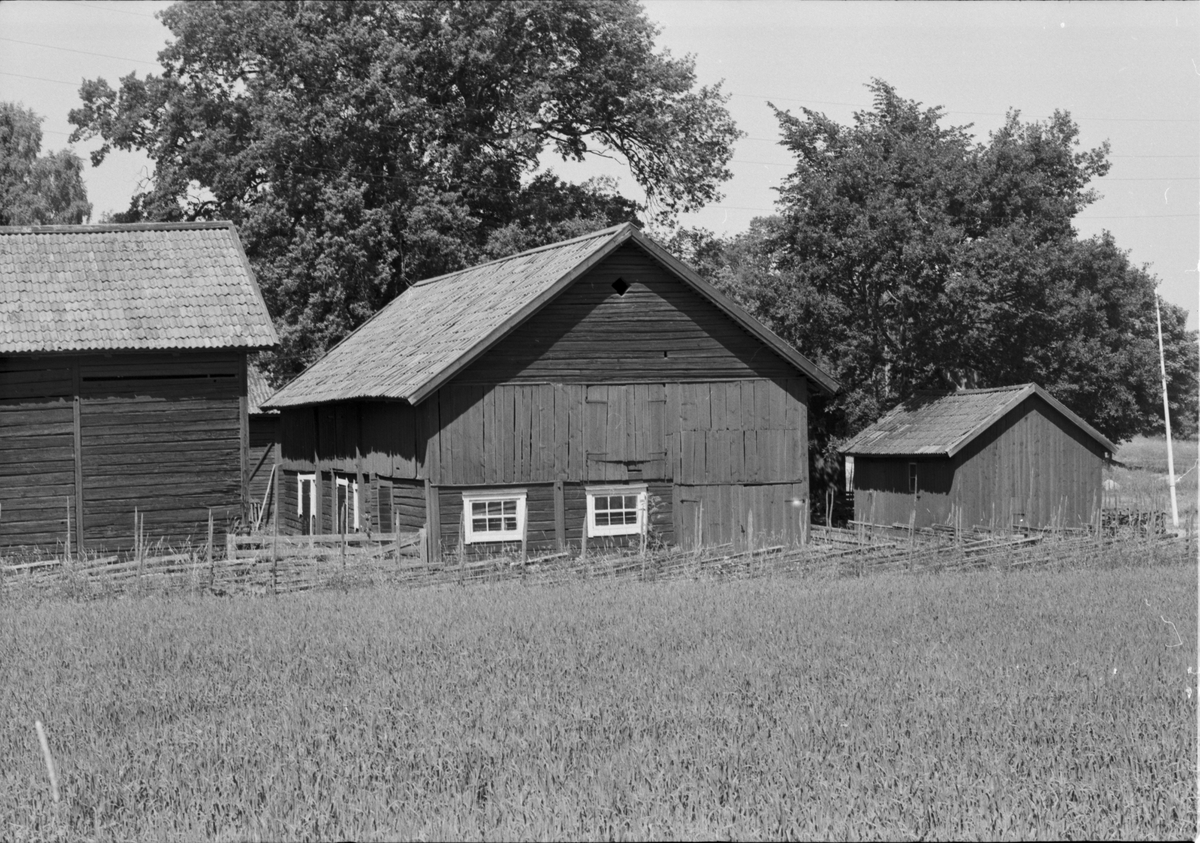 Loge, ladugård, hemlighus och vedbod, Ekeby 6:1, Ekeby by, (tomt 4), Vänge socken, Uppland 1975