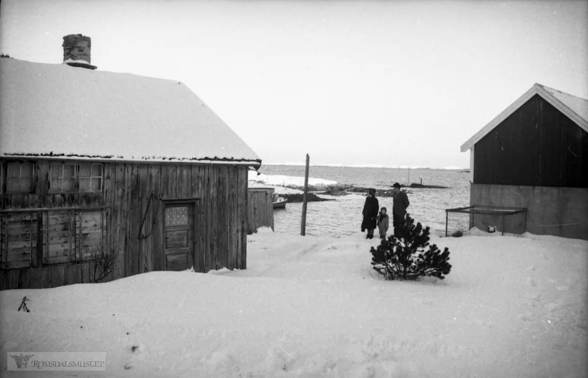 "Mellom-jula 1965".Frå Rindarøya, Øvre Løvik, Aukra. Huset til venstre er «Reitastauå». Det var fiskestue/rorbu for Reiten gnr. 36/2 Midsund kommune. Sjå Romsdalsmuseets årbok 1980, s. 55.