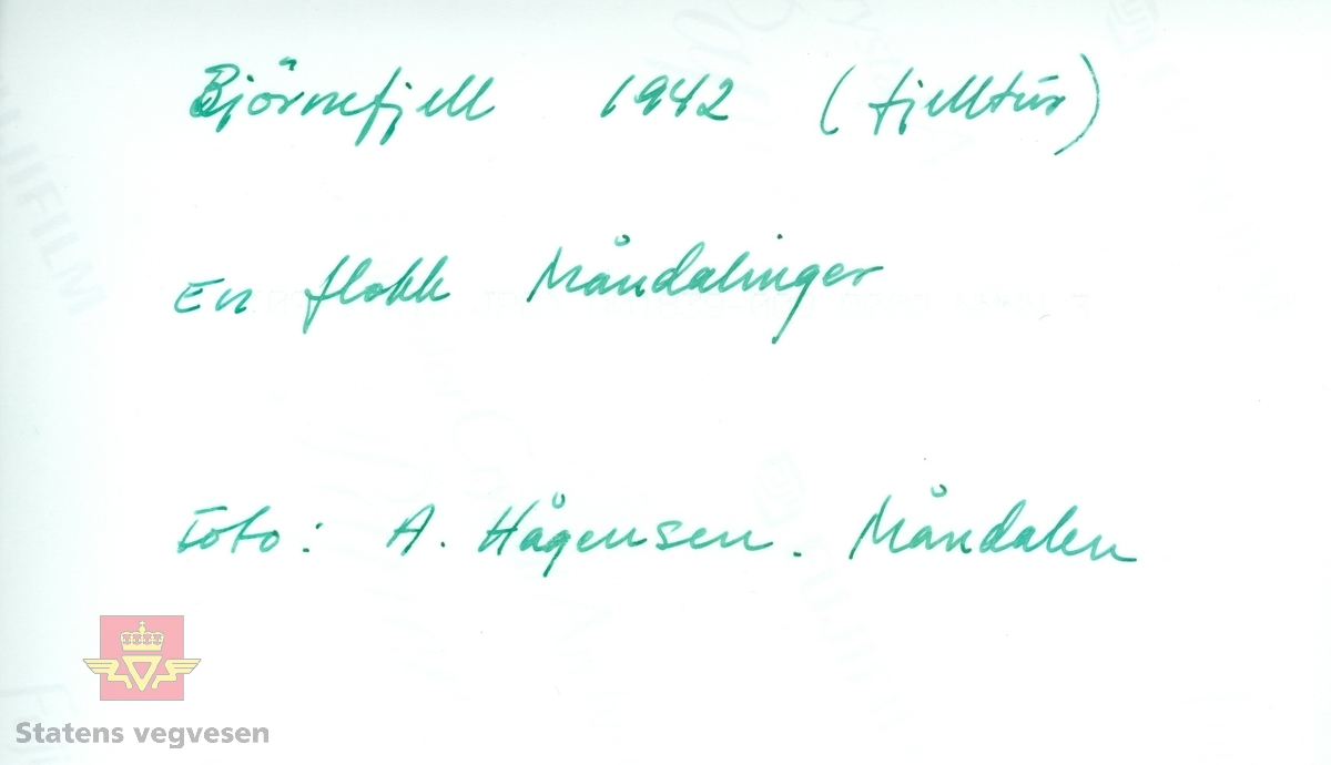 Utskrevne Måndalinger fra Romsdalen på Bjørnefjellvegen i 1942 på fjelltur.

