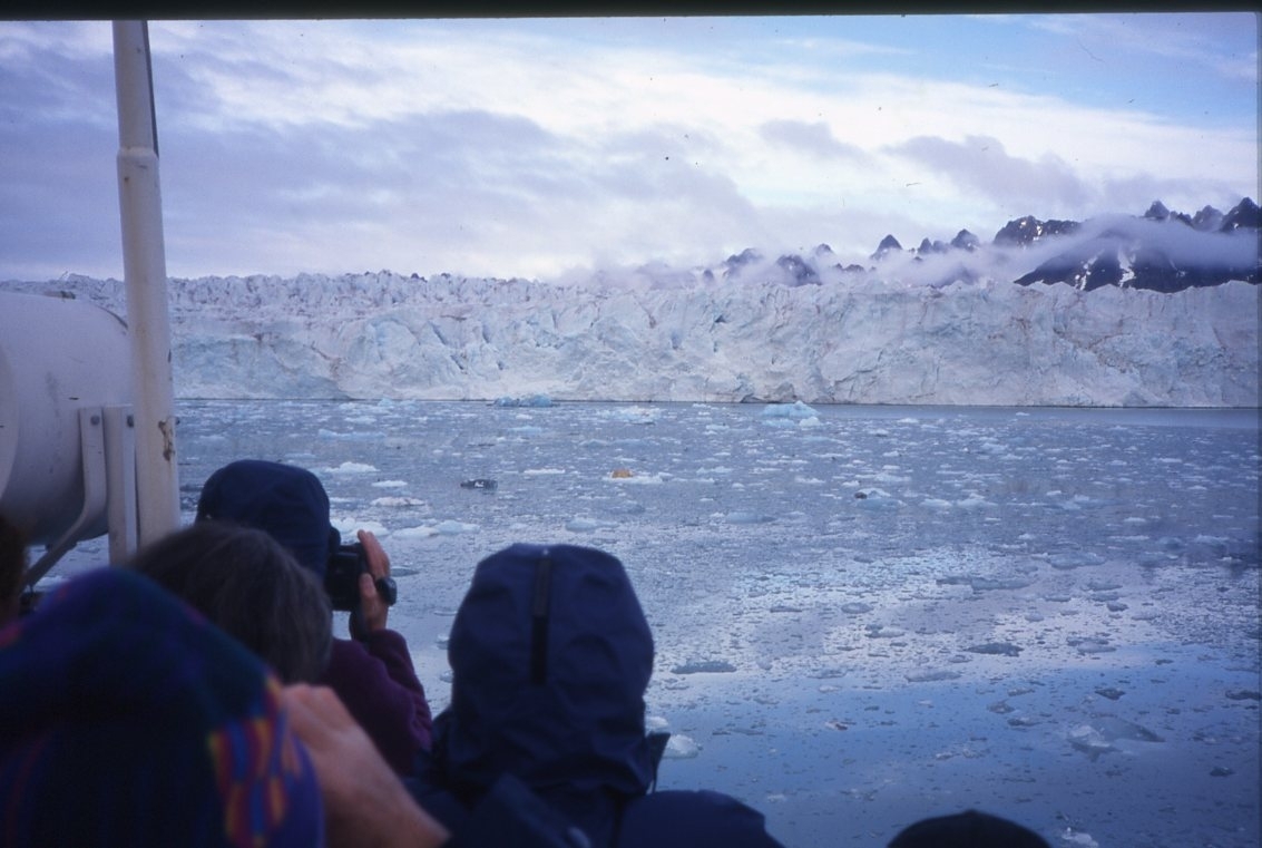 Folk står på en båt och fotograferar en isbjörn som ligger på isflak framför en glaciär.