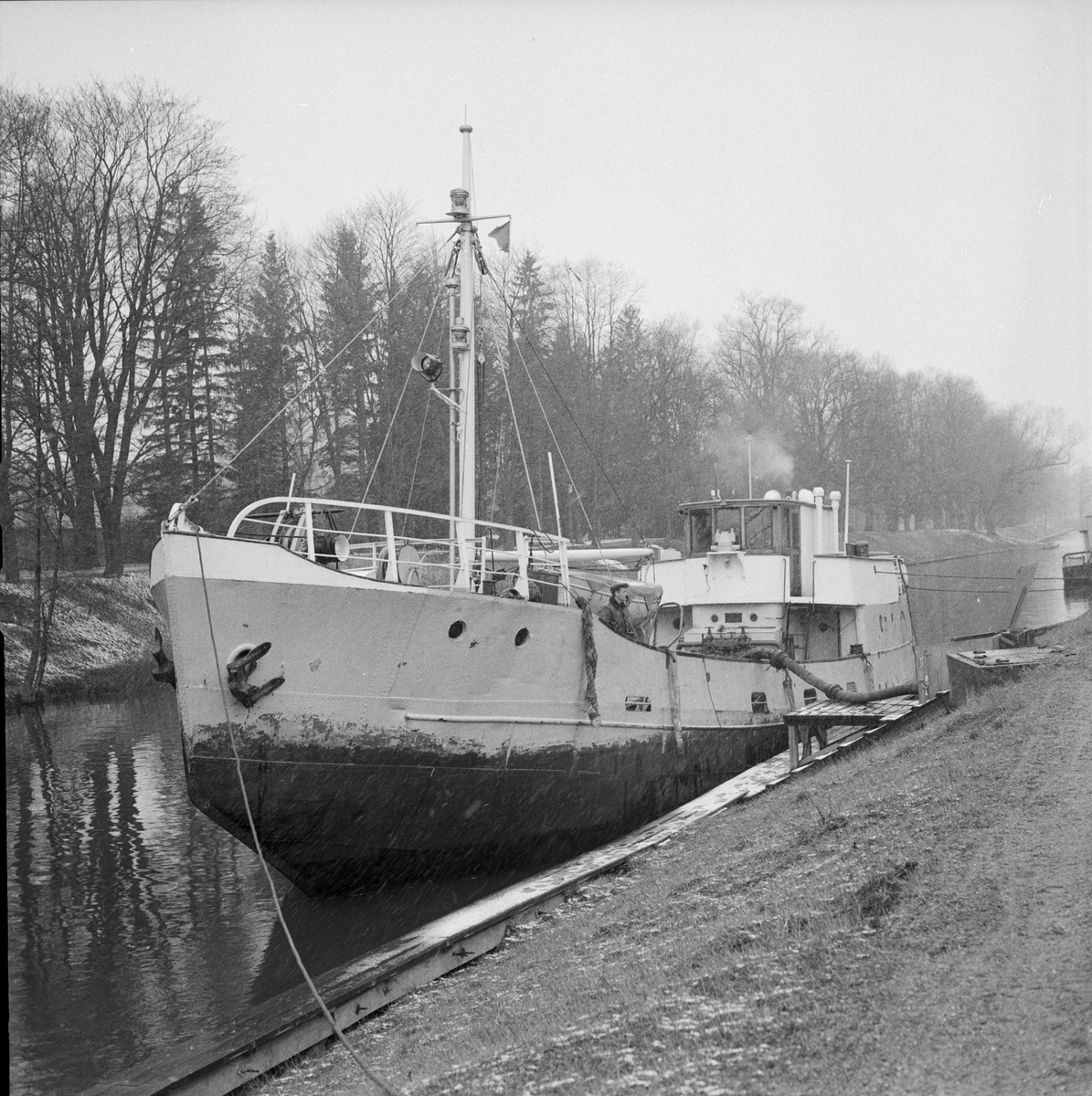 "Rya av Donsö, vårens första båt i Fyris", Uppsala 1960