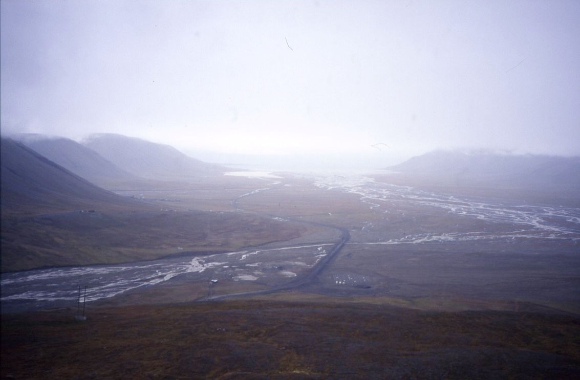 Utsikt från en höjd i närheten av Longyearbyen. Vattenfyllda revor i terrängen likt ett delta.