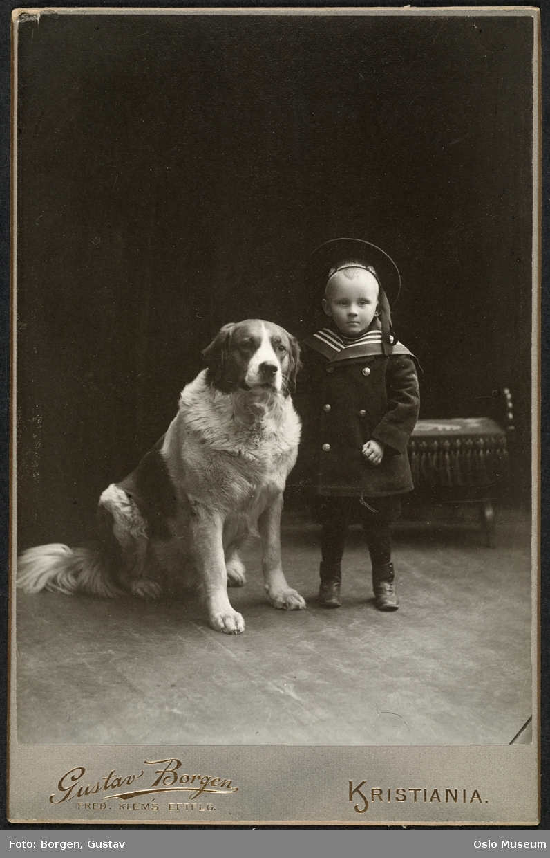 portrett, gutt, stående helfigur, matrosdress, hund