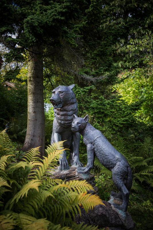 To ulveskulpturer i hagen på Asker museum. (Foto/Photo)