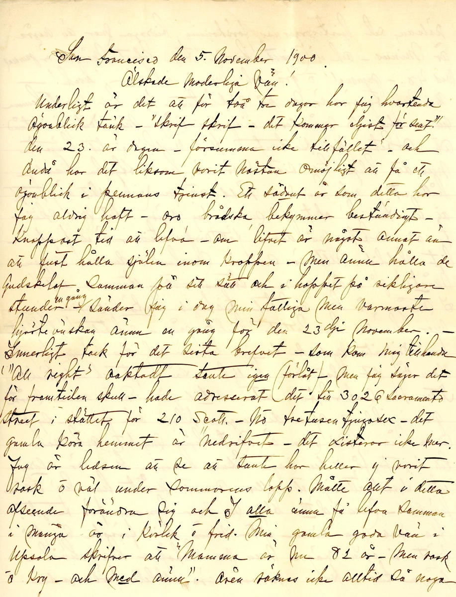 Brev skrivet 1900-11-05 till Fredrique Hammarstedt från vännen Sophie. Brevet består av 16 sidor text på åtta pappersark. Brevet hittades utan kuvert i en anteckningsbok som tillhörde Ninni och Fredrique Hammarstedt. Handskrivet i svart bläck.