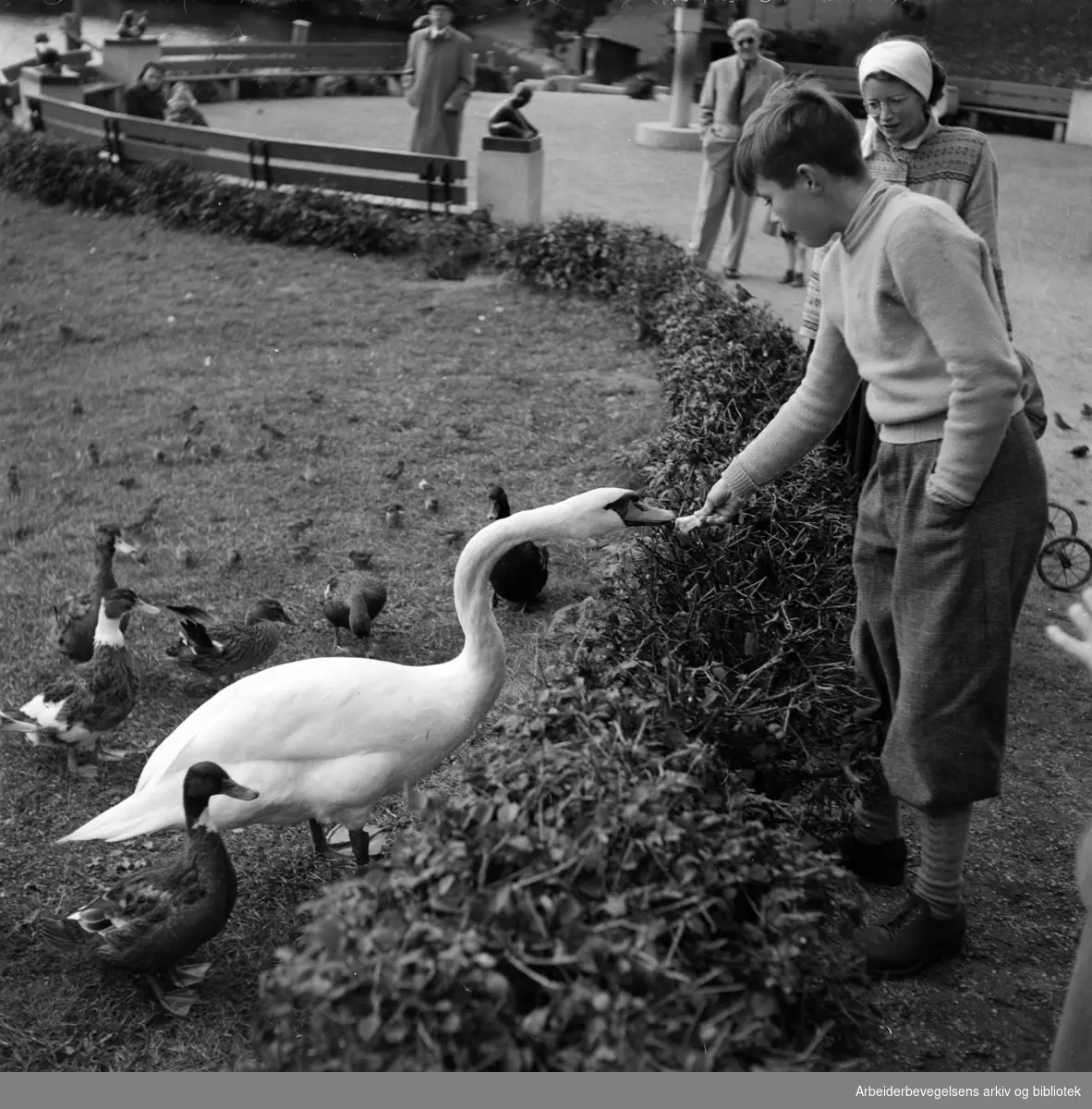 Frognerparken. 1950