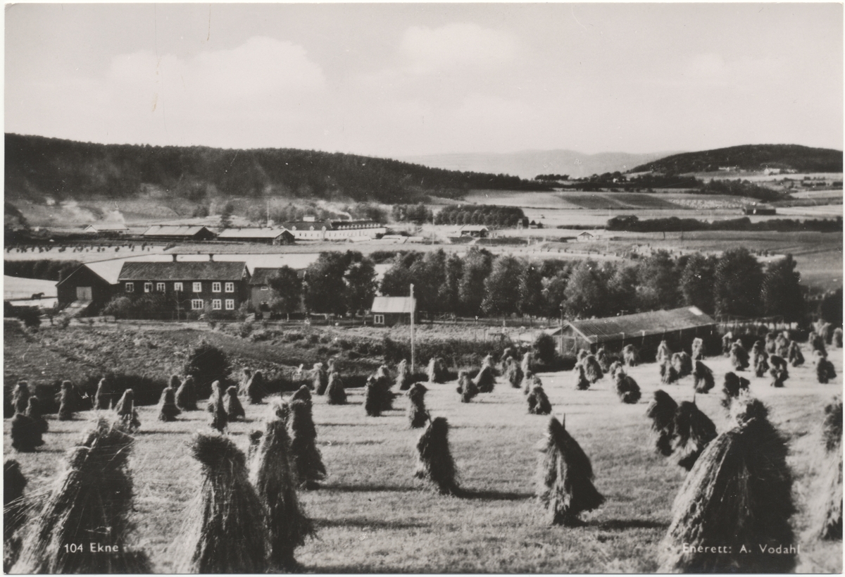 Utsikt over Ekne 1945–47. Midt i bildet ligger gården Dalen. Lenger bak ligger Innherad tvangsarbeidsleir (tidligere Falstad fangeleir).