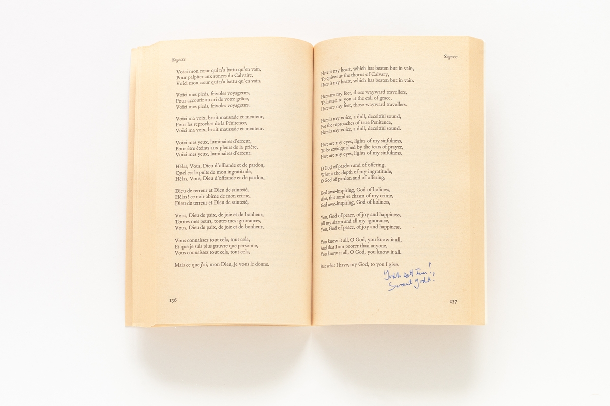 Paul Verlaine: Selected Poems