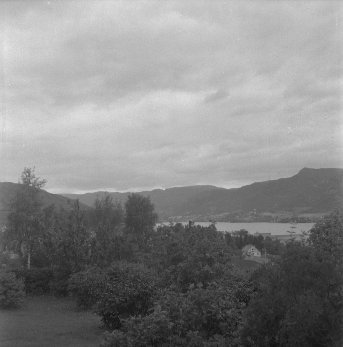Landskap frå Haugane i Ølen med utsikt mot Ølensvåg sett mot sørvest, 1980.