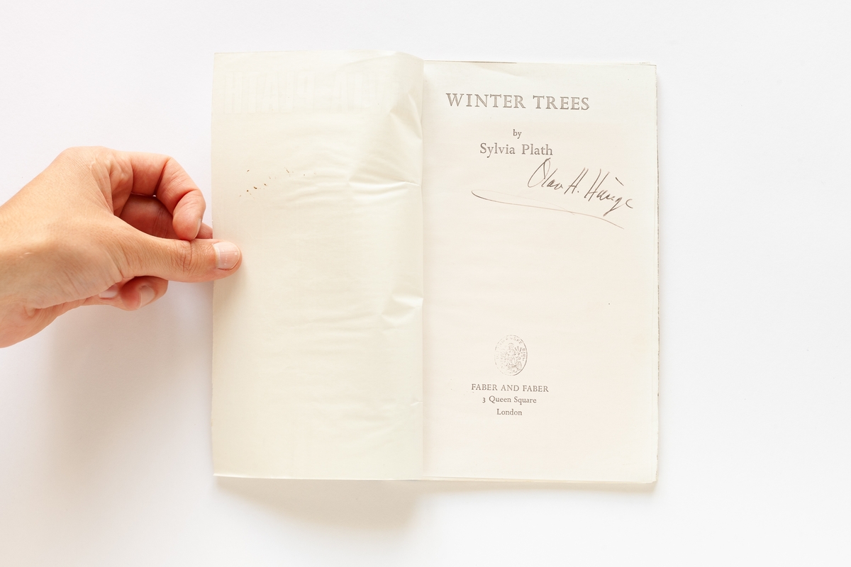 Sylvia Plath: Winter Trees