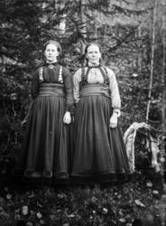 Bunadskledde kvinner  ant. Øst Telemark