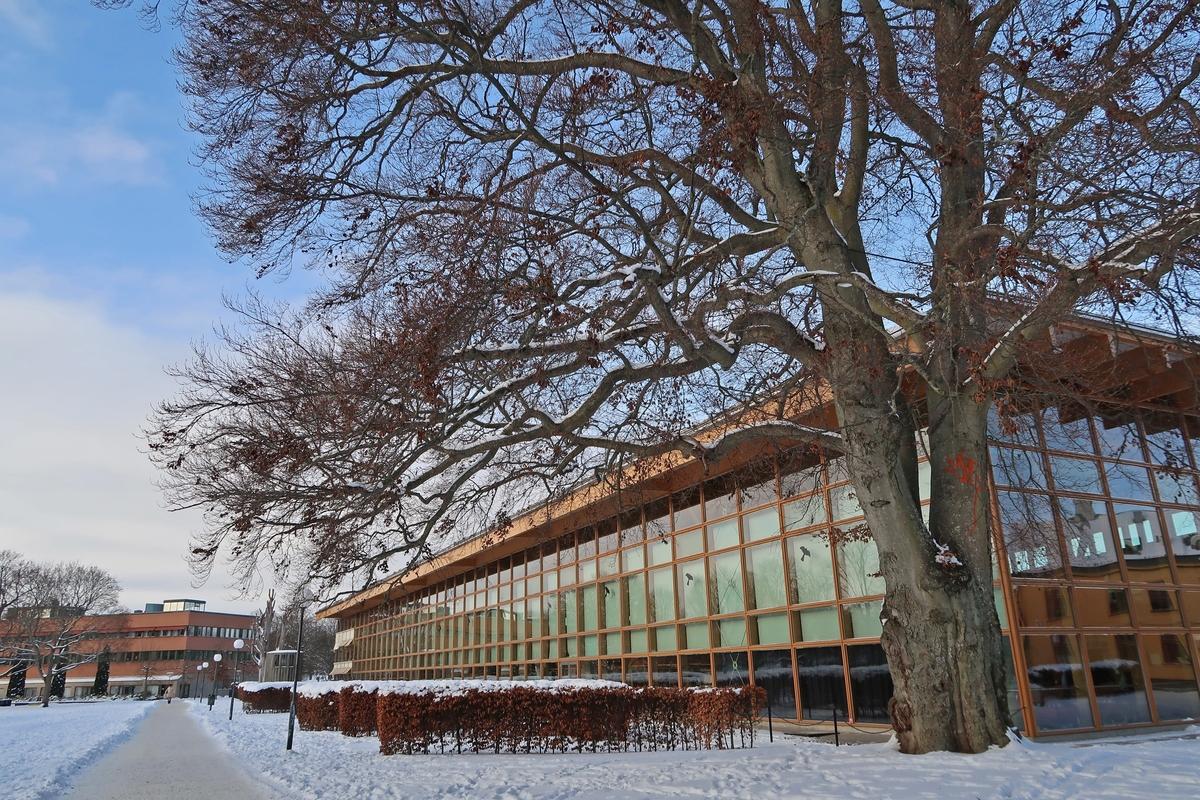 Linköpings stadsbibliotek vintern år 2020/2021. Vinter i biblioteksparken. Bibliotek. 

Bilder från staden Linköping, Östergötland, år 2021.