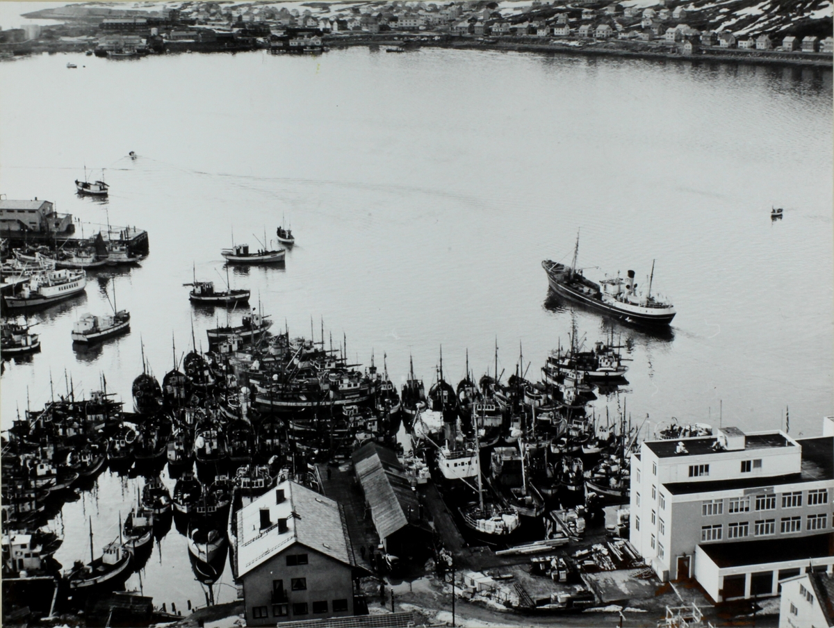 Hammerfest havn sett ovenfra fra Salen, Bangkaia. Det ligger mange fiskebåter i havnen. Gjenreisningshus sees langs hele Fuglenesveien. Findus-bygning ligger i høyre hjørne av bildet. Signert 1958.