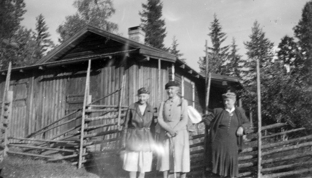 Fra Nystua,Sørskogbygda.
Anna Skavhaugen,Ingeborg Thorud,Oleane Dahl på tur.