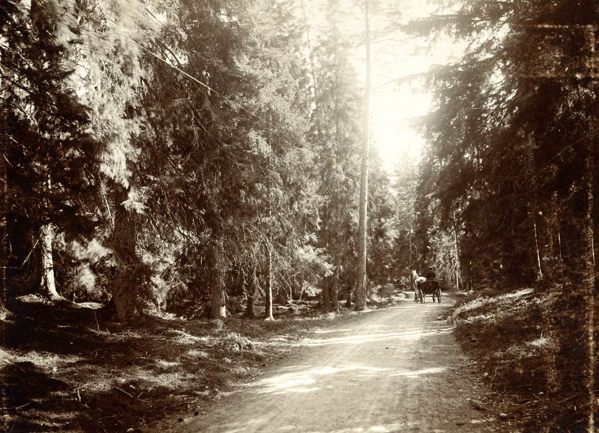 Hästskjuts på Evedalsvägen. Växjö, ca. 1912.