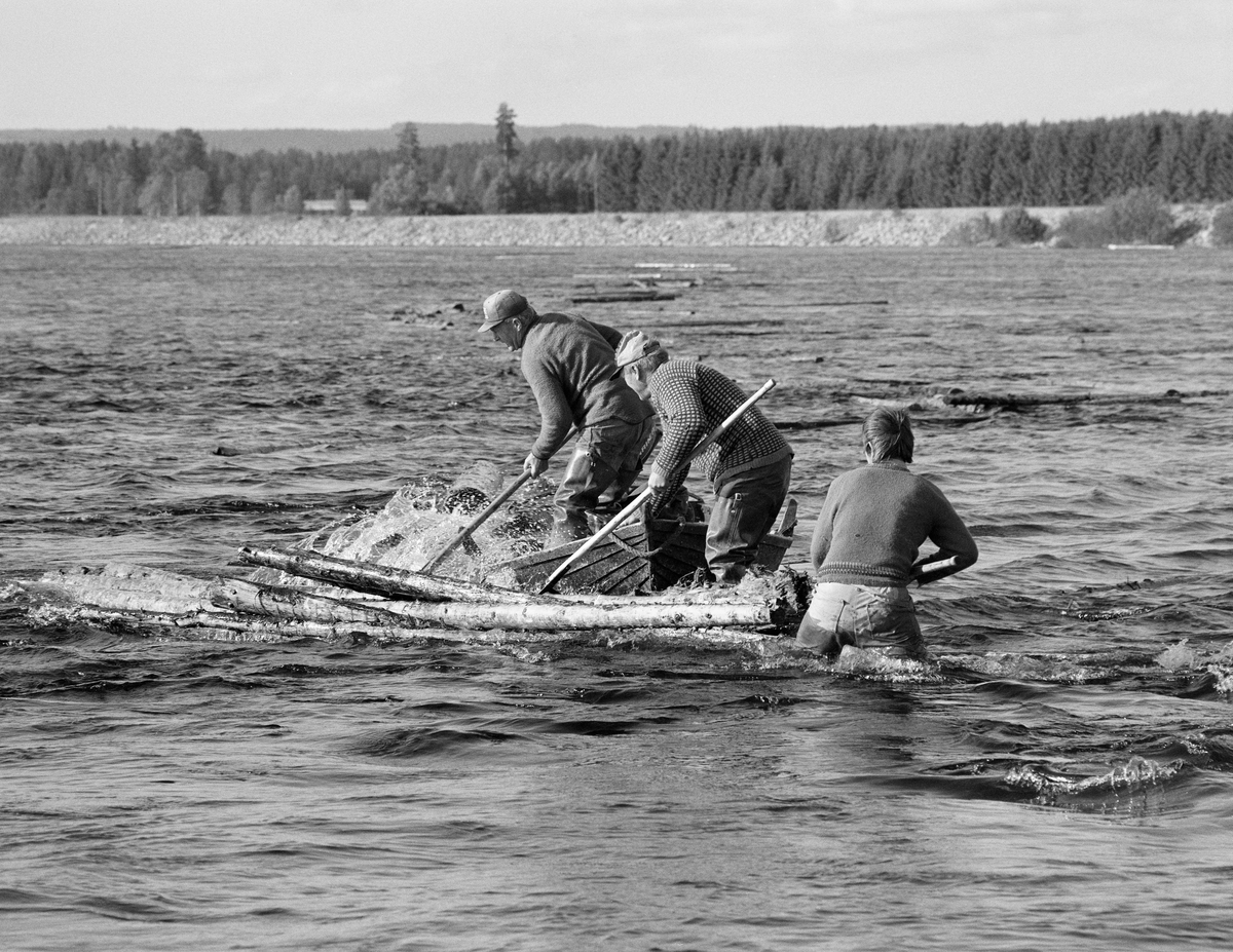 Sluttrensk med båt og fløtere ved en tømmerhaug i Strandfossen i Glomma, Elverum, Hedmark.