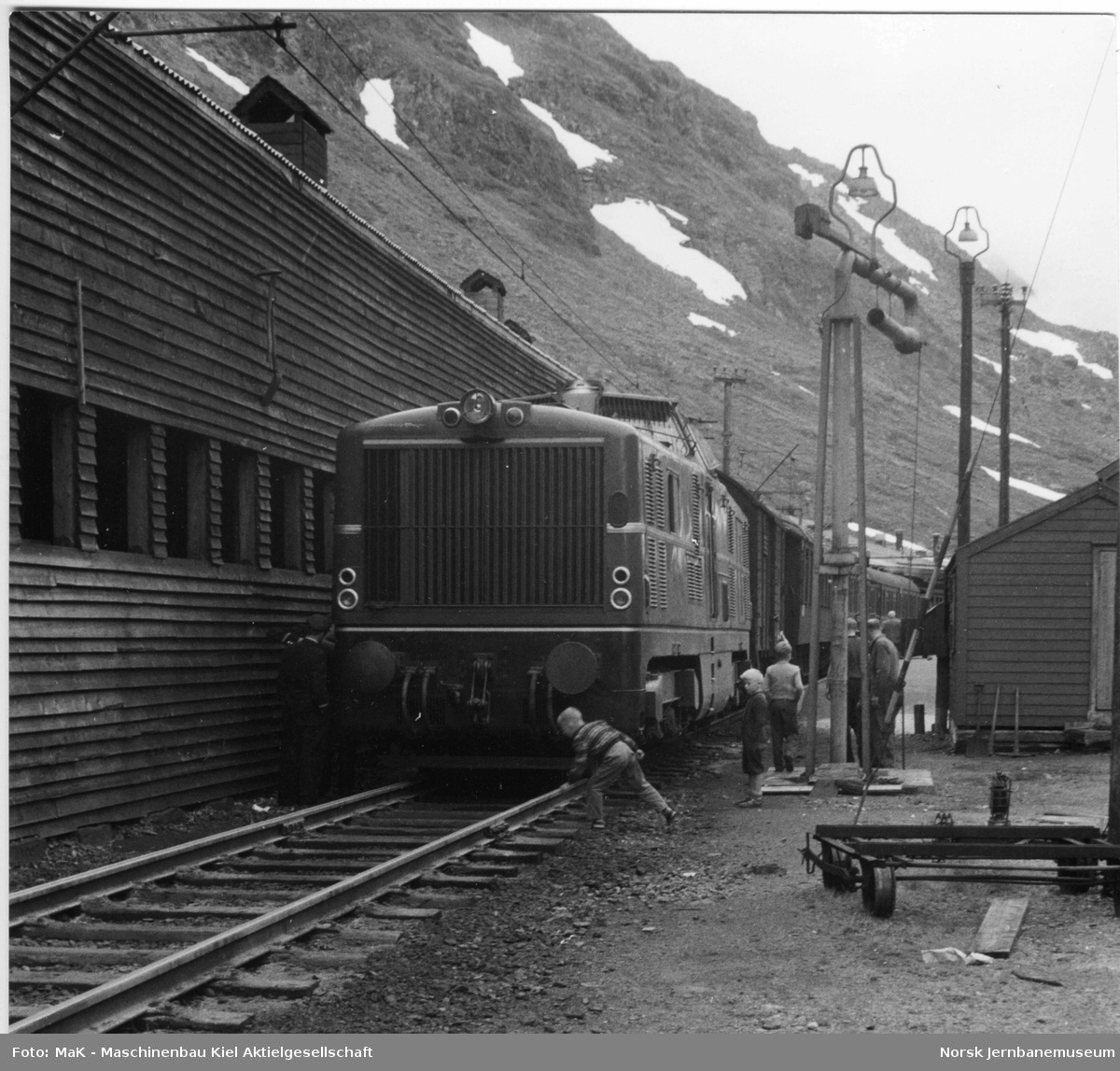 Tysk diesellokomotiv MaK 2000 001 med dagtoget fra Bergen til Oslo Ø, tog 602, på Myrdal stasjon. Lokomotivet var på prøvedrift i Norge